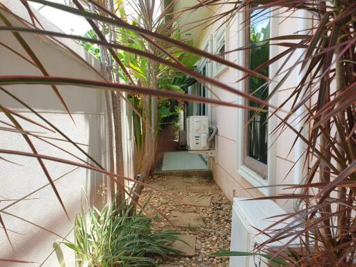 Secluded pathway with plant decorations and air conditioning units beside a house