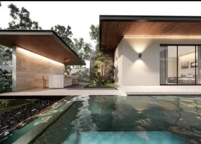 Modern home exterior with swimming pool
