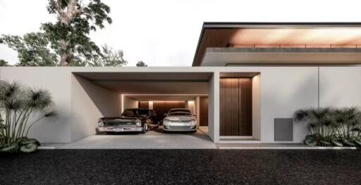 Modern home garage with two cars parked