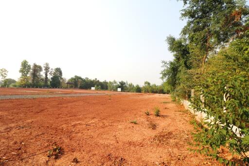 A Developers Delight: 5 Rai, 1 Ngan, 20 Talang Wah Of Land For Sale Subdivided With 9 Full Chanotes, Khon Kaen, Thailand