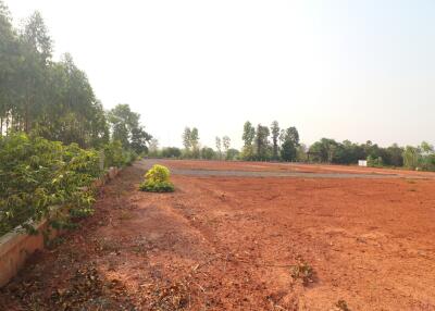 A Developers Delight: 5 Rai, 1 Ngan, 20 Talang Wah Of Land For Sale Subdivided With 9 Full Chanotes, Khon Kaen, Thailand