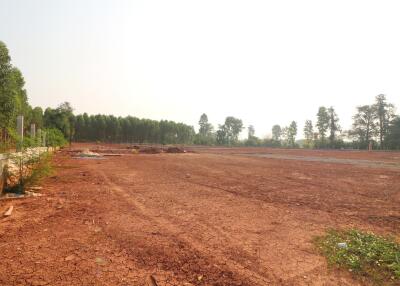 A Developers Delight: 5 Rai, 1 Ngan, 20 Talang Wah Of Land For Sale Subdivided With 9 Full Chanotes, Khon Kaen, Thailand