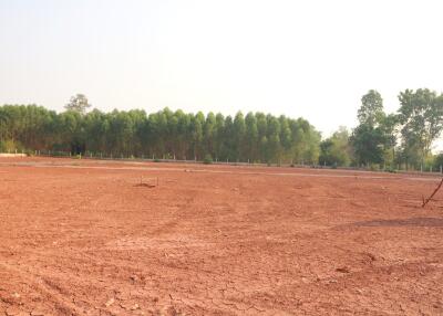 A Developers Delight: 5 Rai, 1 Ngan, 20 Talang Wah Of Land For Sale Subdivided With 9 Full Chanotes, Khon Kaen, Thailand