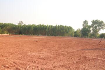 A Developers Delight: 5 Rai, 1 Ngan, 20 Talang Wah Of Land For Sale Subdivided With 9 Full Chanotes, Khon Kaen, Thailand