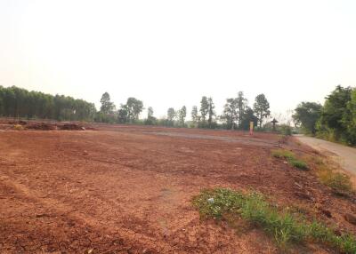 A Developers Delight: 5 Rai, 1 Ngan, 20 Talang Wah Of Land For Sale Subdivided With 9 Full Chanotes, Khon Kaen, Thailand