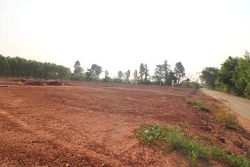 A Developers Delight: 5 Rai, 1 Ngan, 20 Talang Wah Of Land For Sale Subdivided With 9 Full Chanotes, Khon Kaen, Thailand