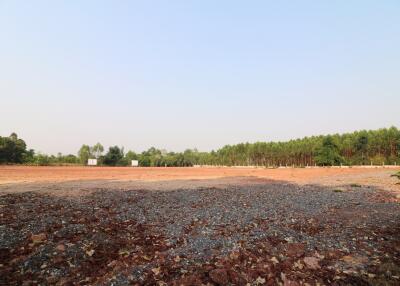 A Developers Delight: 5 Rai, 1 Ngan, 20 Talang Wah Of Land For Sale Subdivided With 9 Full Chanotes, Khon Kaen, Thailand