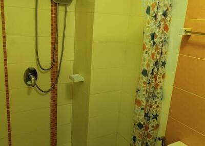 Compact bathroom with shower, toilet and colorful curtain