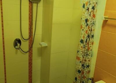 Compact bathroom with shower and toilet