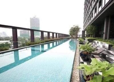 Luxurious rooftop swimming pool with skyline view