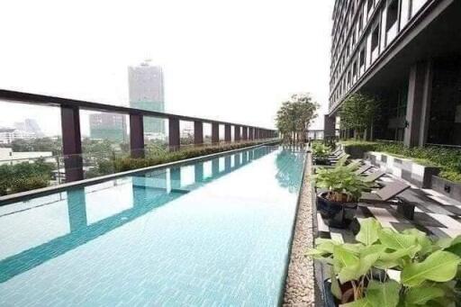 Luxurious rooftop swimming pool with skyline view