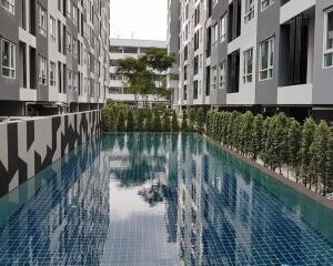 1 Bedroom Condo for Rent at Regent Home Sukhumvit 81