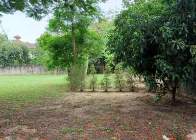 3 Ngan Land For Sale to Build a House