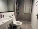 Modern bathroom with gray tiles and essential fixtures