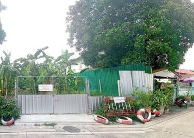 Land for sell in Ngamwongwan 31