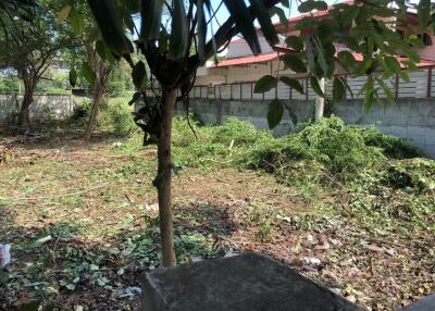 Land for sell in Phatthanakan 53
