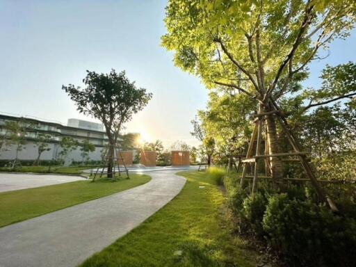 Sunlit landscaped garden with walking paths and mature trees
