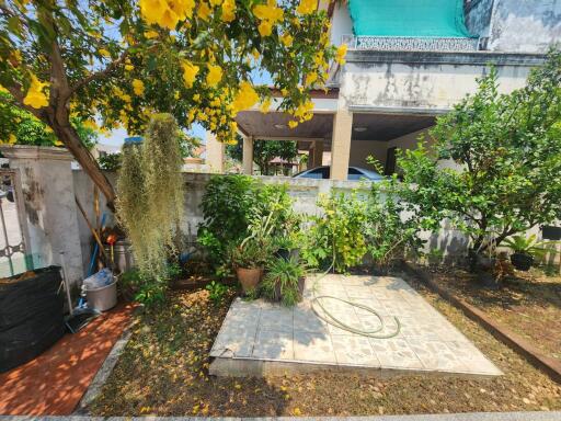 Lush garden with various plants and a concrete patio area in a residential setting