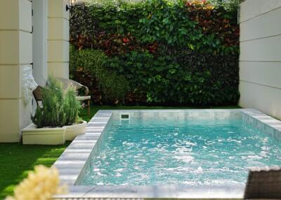 Luxurious backyard with small swimming pool and lush vertical garden