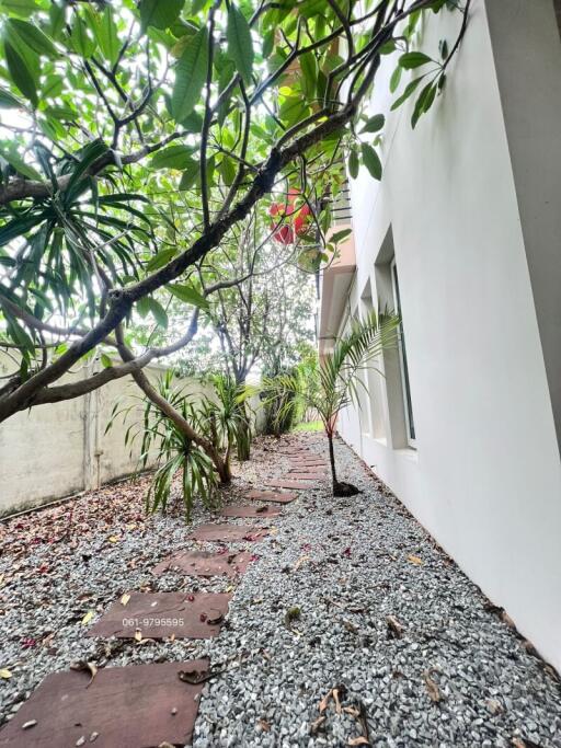 Tranquil garden pathway beside a modern home