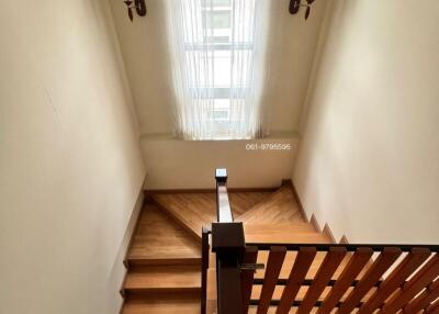 Wooden staircase with natural lighting through a large window