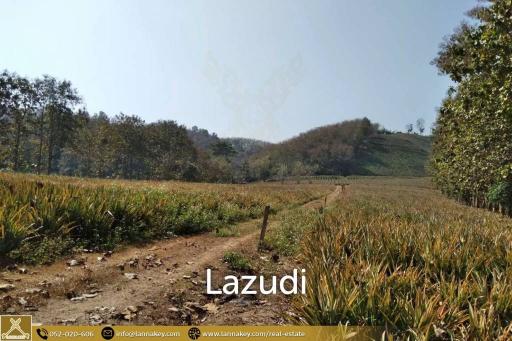 Beautiful Location Land Close to the Kok River.