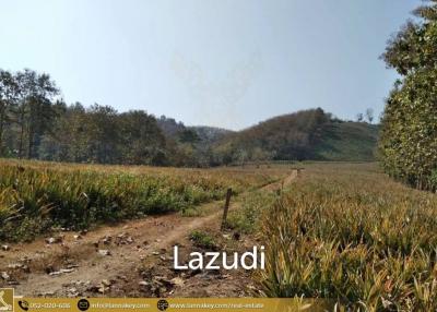 Beautiful Location Land Close to the Kok River.