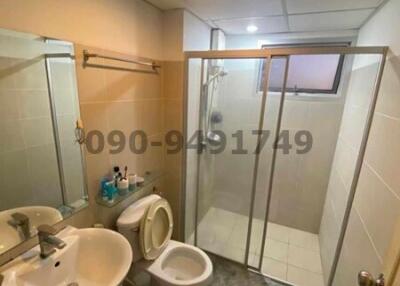 Compact modern bathroom with shower and toilet