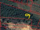 Aerial view of wooded land parcel with property lines