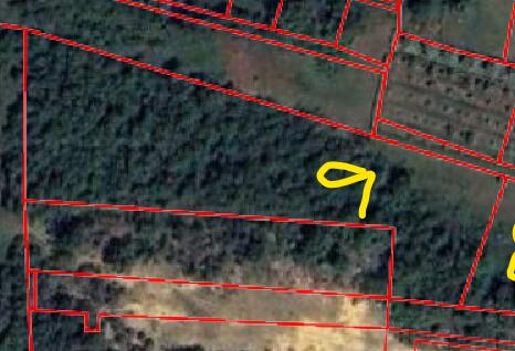 Aerial view of wooded land parcel with property lines