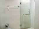 Modern bathroom interior with glass shower and white ceramic toilet