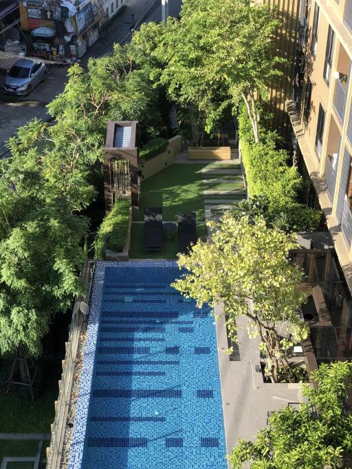 Condo for Rent, Sale at The Tree On Nut Station (Sukhumvit 54)