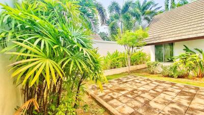 Tropical garden with lush greenery and pathway