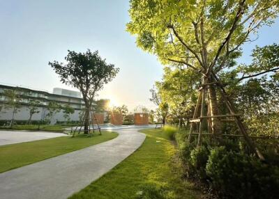 Sunlit garden pathway with lush greenery and modern buildings in the background