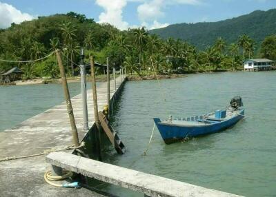 Scenic view of a dock with a blue boat tied next to tropical greenery