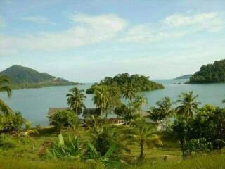 Scenic view of a coastal property with lush greenery and sea view