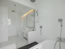 Modern bathroom with bathtub and glass shower