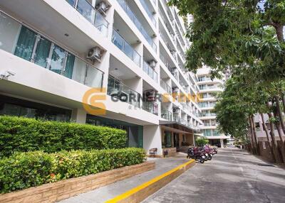 Studio Condo in Hyde Park Residence 2 Pattaya