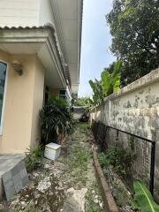 Outdoor area of a property with overgrown greenery and aged infrastructure