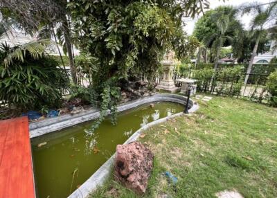 Outdoor garden with unkempt pond and lush greenery