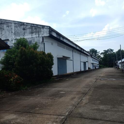 Exterior view of an industrial building with a spacious paved driveway