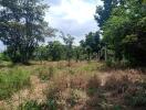 Spacious empty land plot with partial foundational structures under clear sky