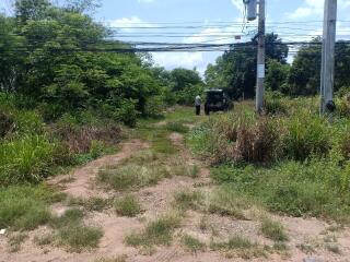 Rural land plot with dirt access road and lush greenery under a clear sky