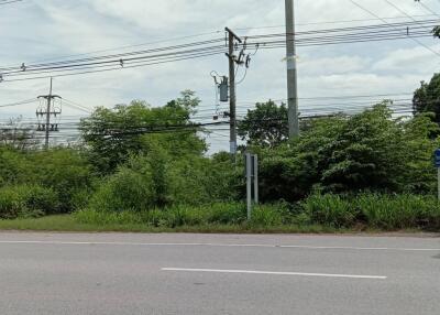 Outdoor roadside view with lush greenery and utility poles