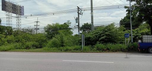 Outdoor roadside view with lush greenery and utility poles