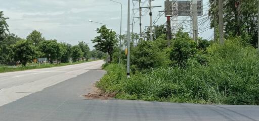 Roadside view with lush greenery and utility poles