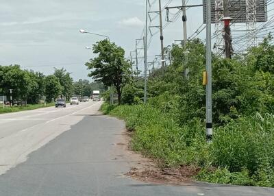 Suburban road with roadside vegetation and power lines