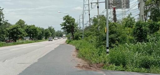 Suburban road with roadside vegetation and power lines