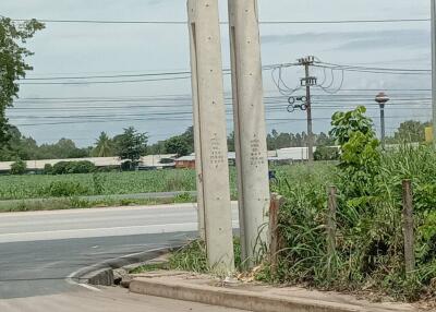 rural roadside view with power lines and agriculture field