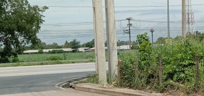 rural roadside view with power lines and agriculture field